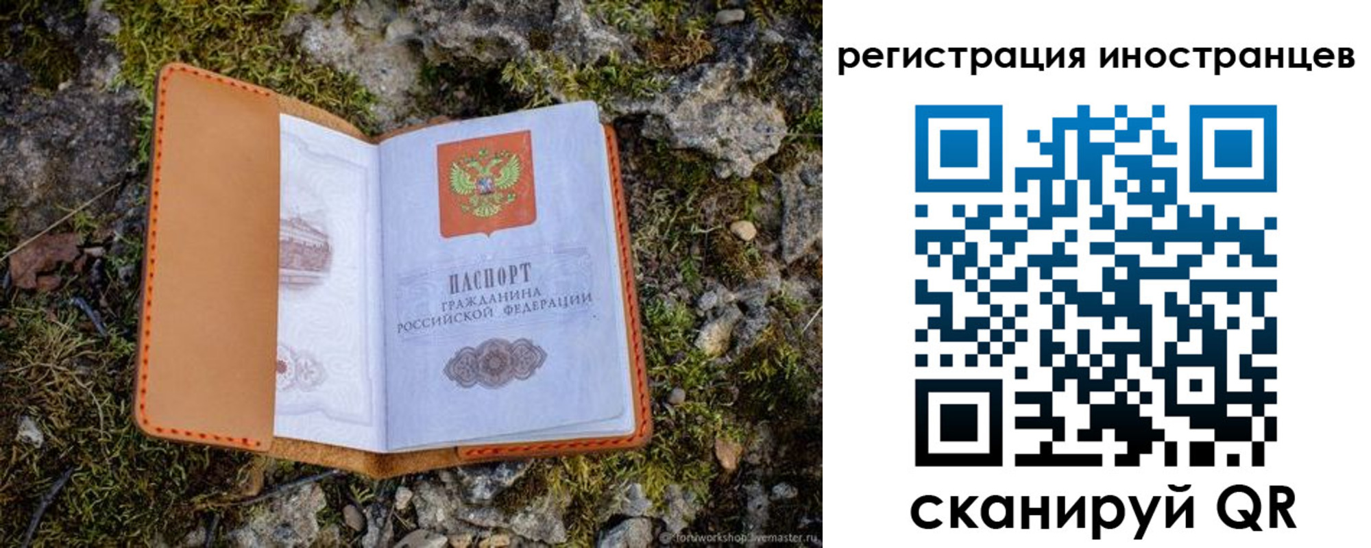 прописка паспорт в Тогучине